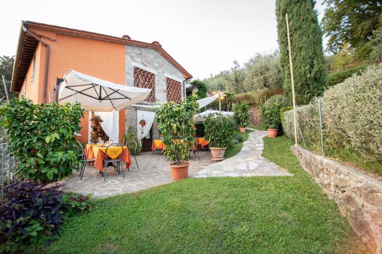 Casetta Di Butia, Glicine Apartment Borgo a Mozzano Exterior photo