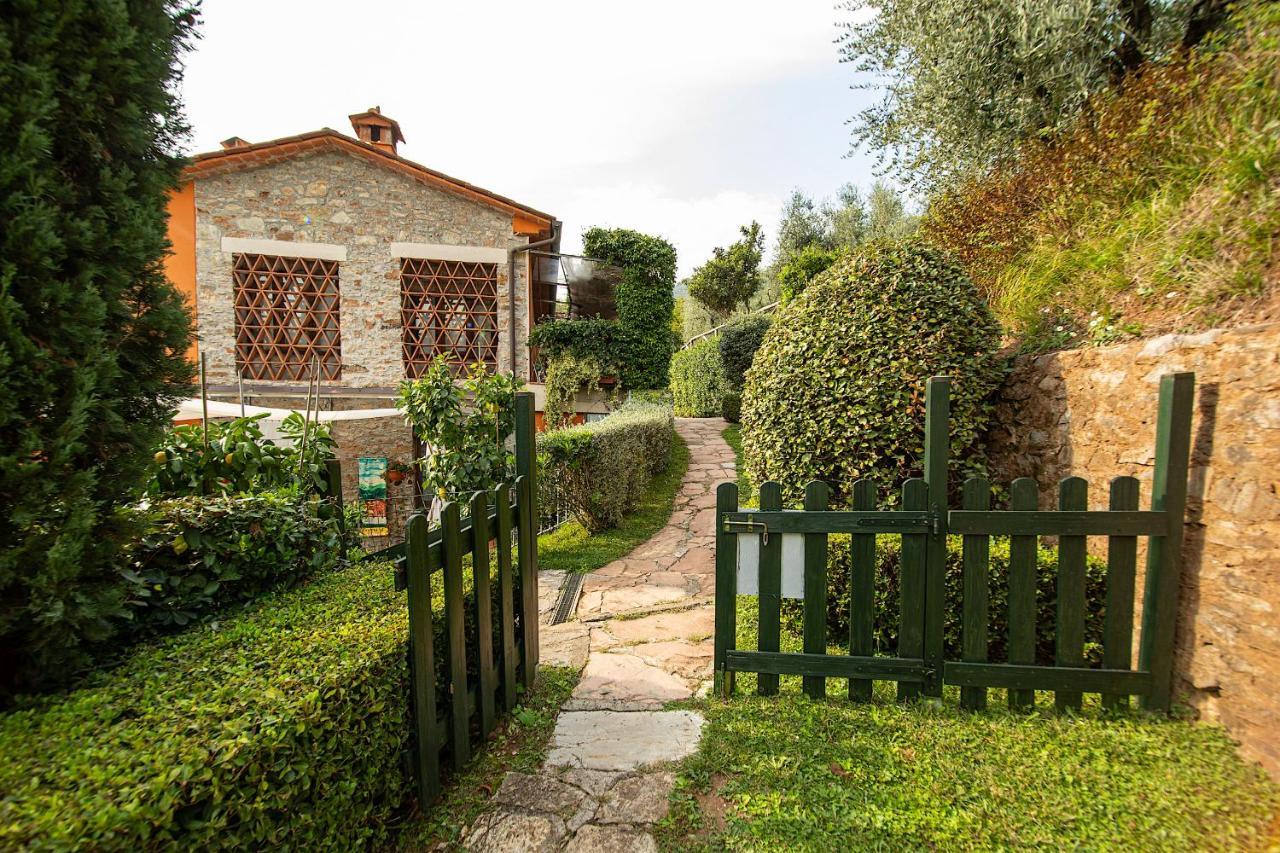 Casetta Di Butia, Glicine Apartment Borgo a Mozzano Exterior photo