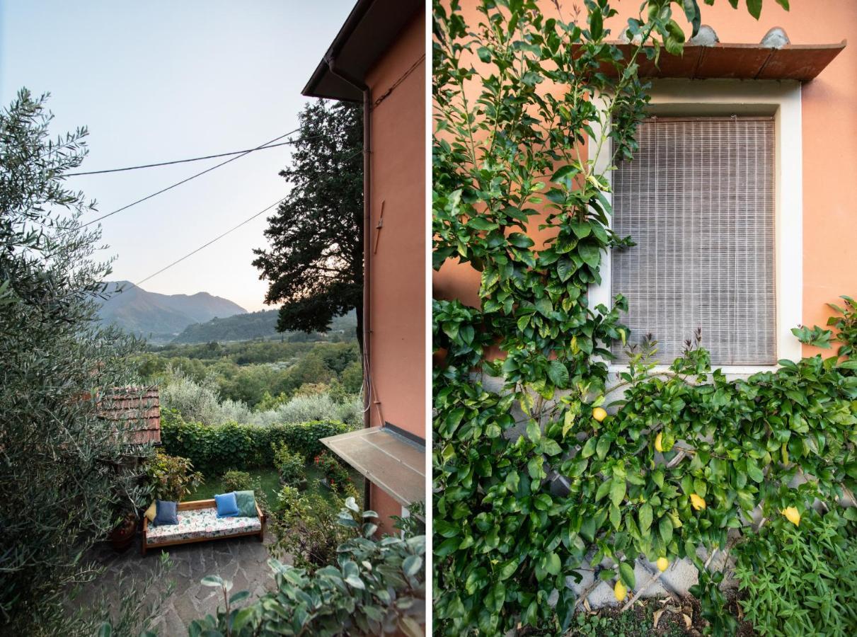 Casetta Di Butia, Glicine Apartment Borgo a Mozzano Exterior photo